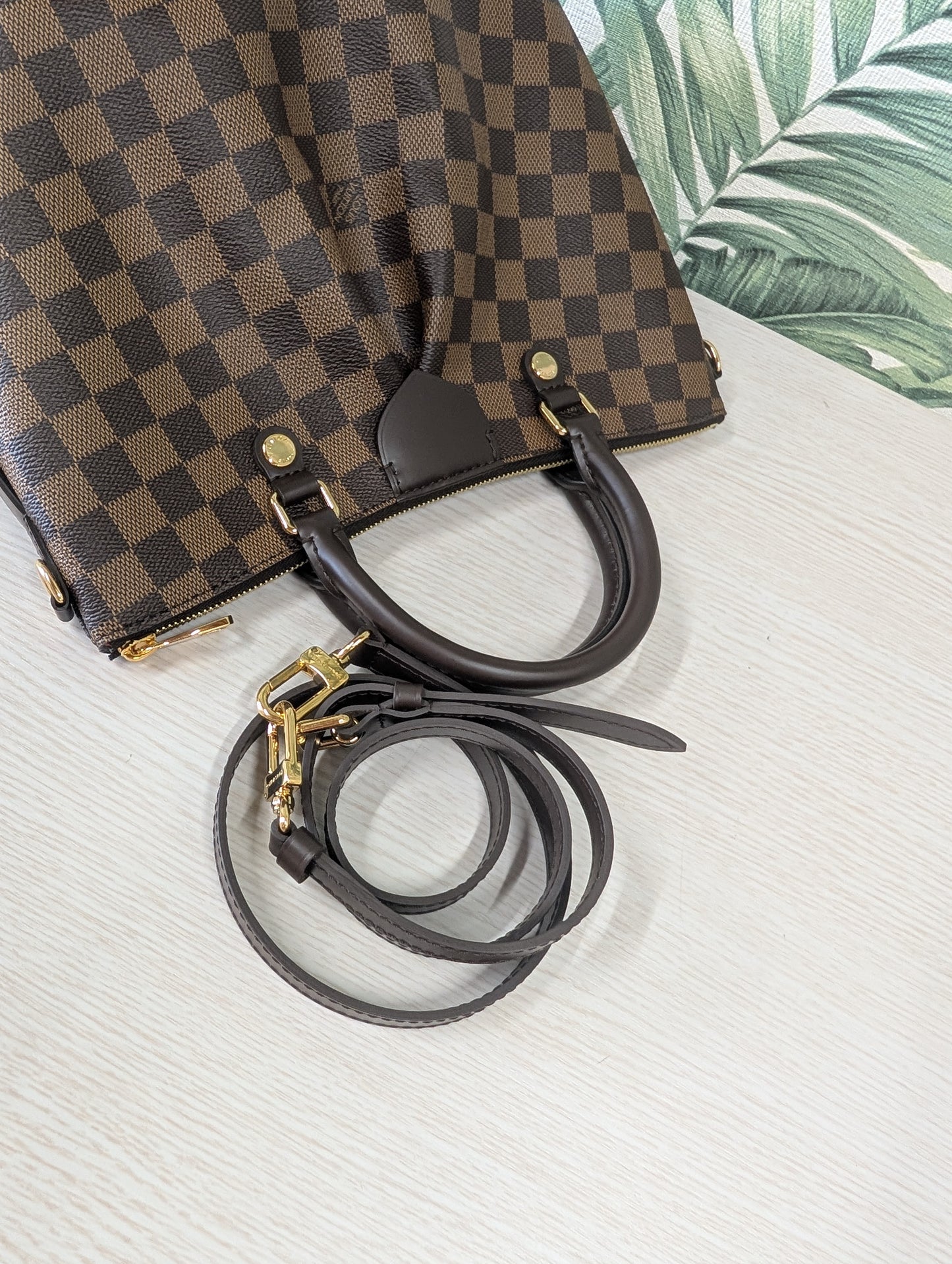 Siena PM Damier Ebene