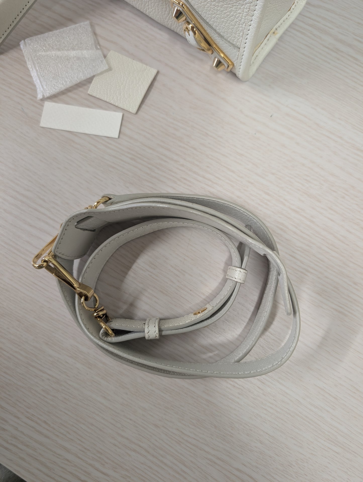 Chevre Gold Metallic Edge Hardware City Mini